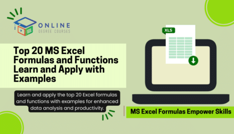 MS Excel Formulas and Function: Learn and Apply with Examples