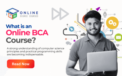 What is an Online BCA Course?